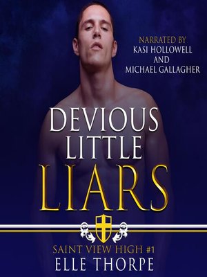 cover image of Devious Little Liars